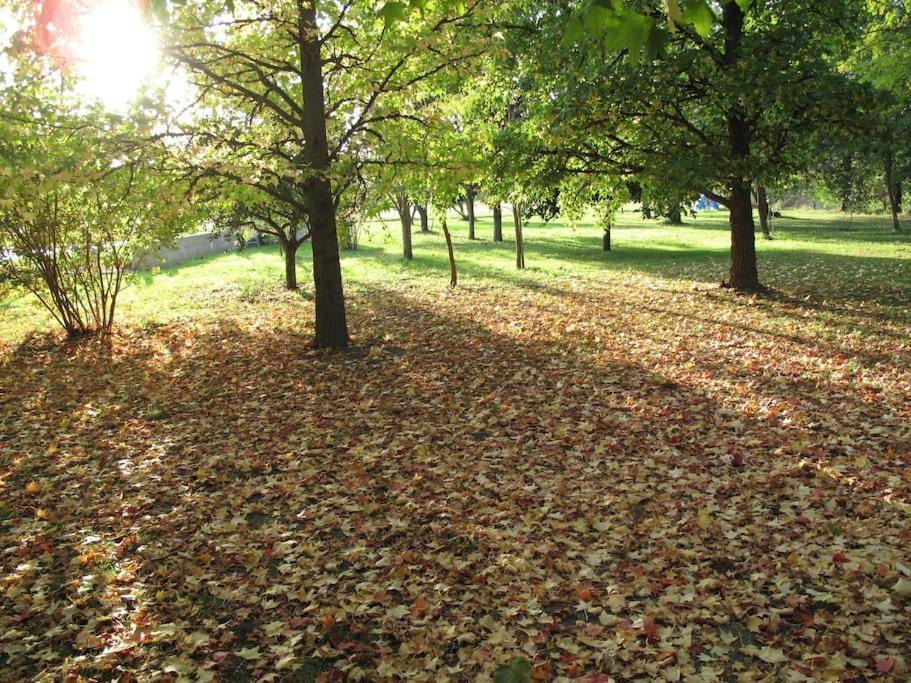 Willa Le Jardin D'Erables St Remy 7 Ha Piscine/Clim Paluds de Noves Zewnętrze zdjęcie